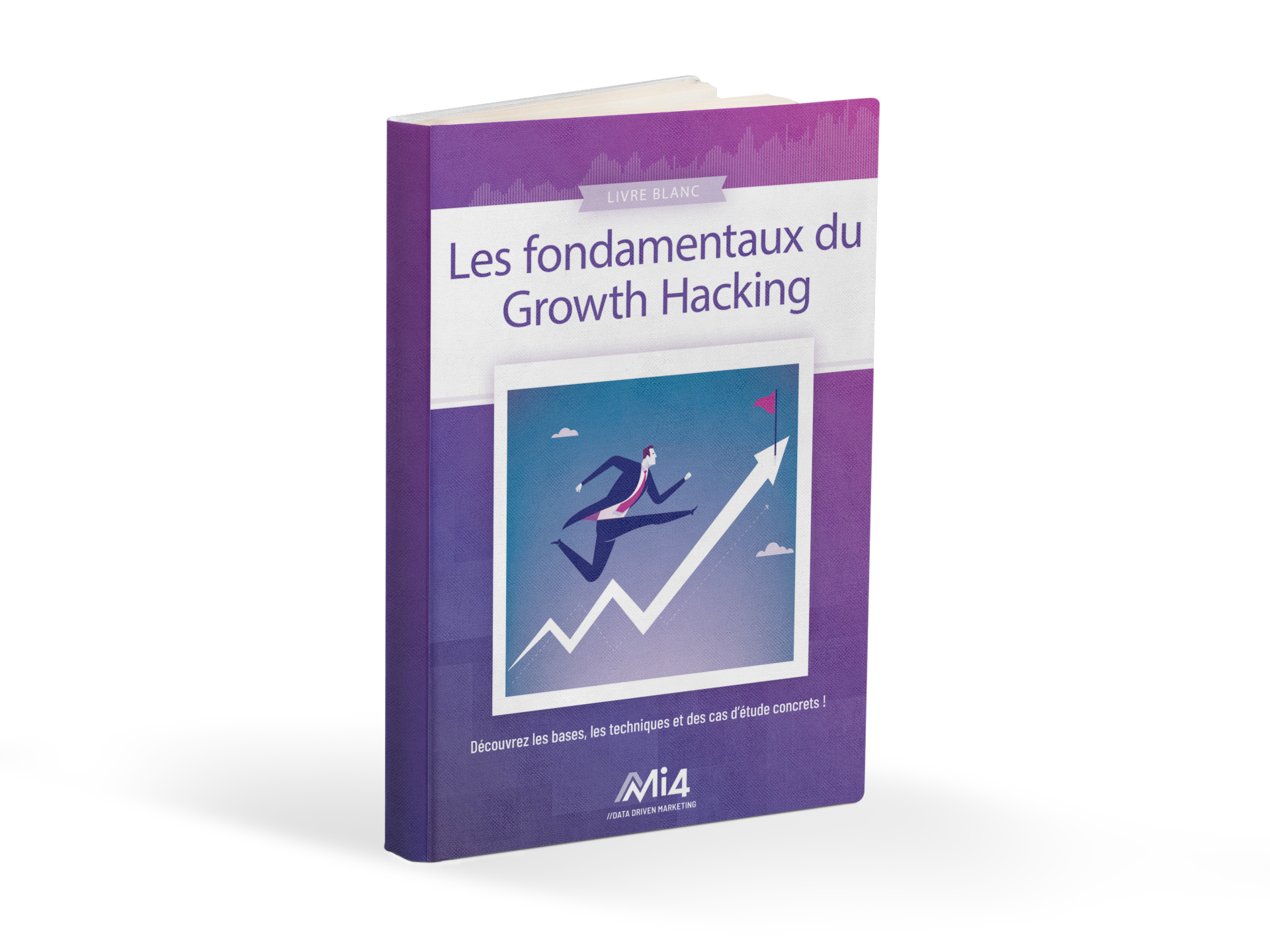 e-book cover Growth Hacking